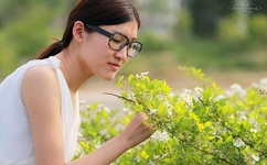 海天是哪个国家的品牌